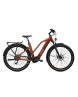 Vélo électrique urbain Unisexe VERN 7.1 iPA720 T47/S Bronze - Image 1/1